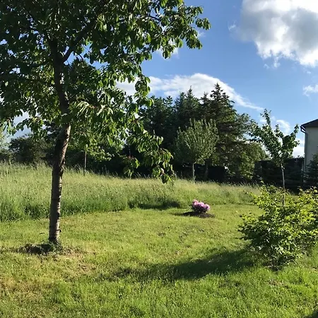 Zelte Individuell Auf Der Obstwiese Kemping