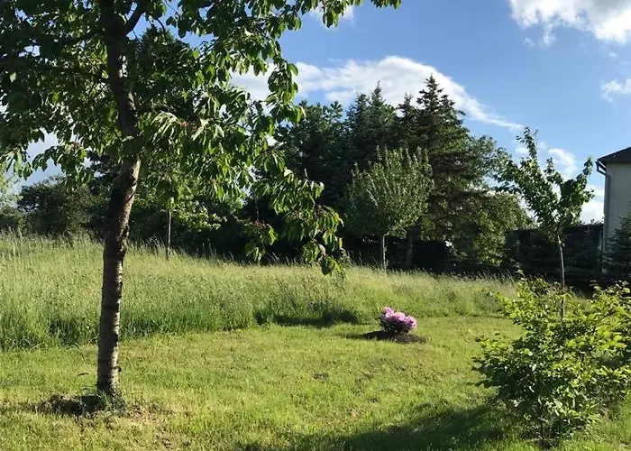 Zelte Individuell Auf Der Obstwiese Campsite