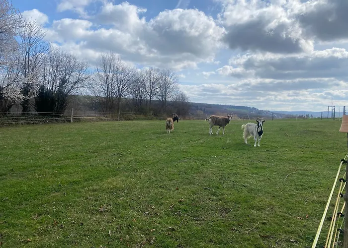 Zelte Individuell Auf Der Obstwiese Kamp alanı *
