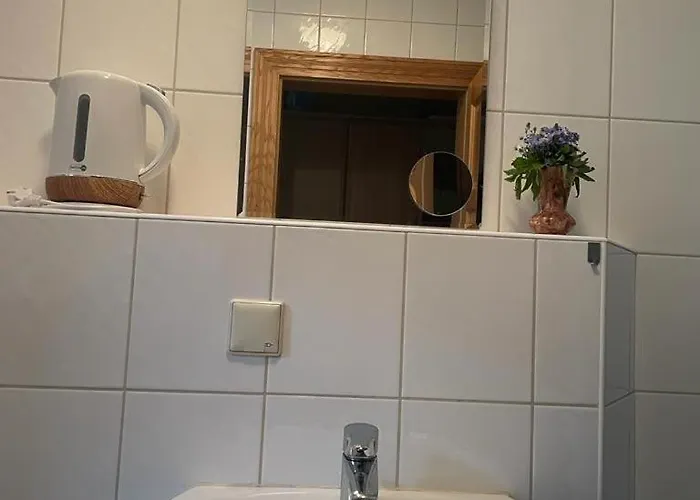 Zelte Individuell Auf Der Obstwiese Dippoldiswalde