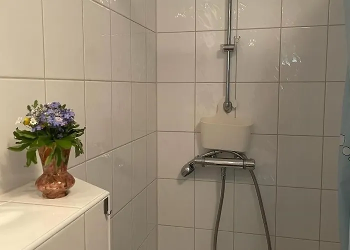 Zelte Individuell Auf Der Obstwiese Dippoldiswalde