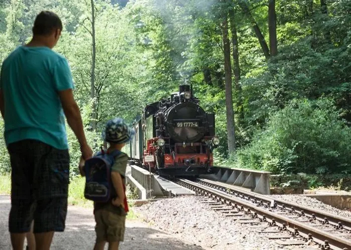 Zelte Individuell Auf Der Obstwiese Kamp alanı Dippoldiswalde