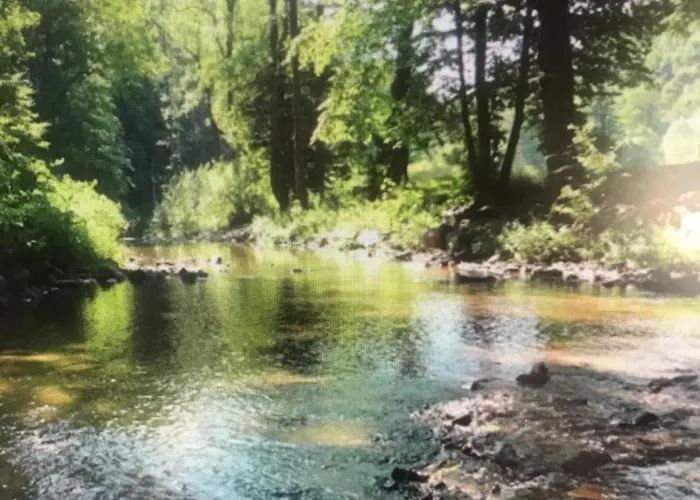 Zelte Individuell Auf Der Obstwiese
